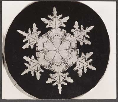 one of Wilson Alwyn Bentley's Snowflakes, before 1905; Printing-out paper 