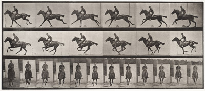 Muybridge_bouquet.jpg