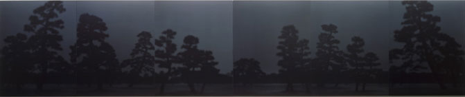 WOL_Pine-Landscape-2001.jpg