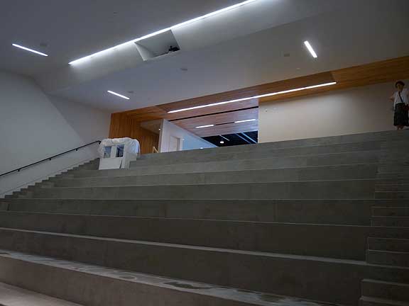 Ziba_auditorium_sm.jpg